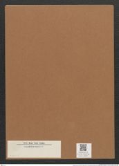 Diatomeae indet. (de-Toni-Nr.: Species 2432 ?) Zeichnungen Sammlung Grunow Mappe 02687 (Herbarium_W_Grunow_drawings_Folder_02687)